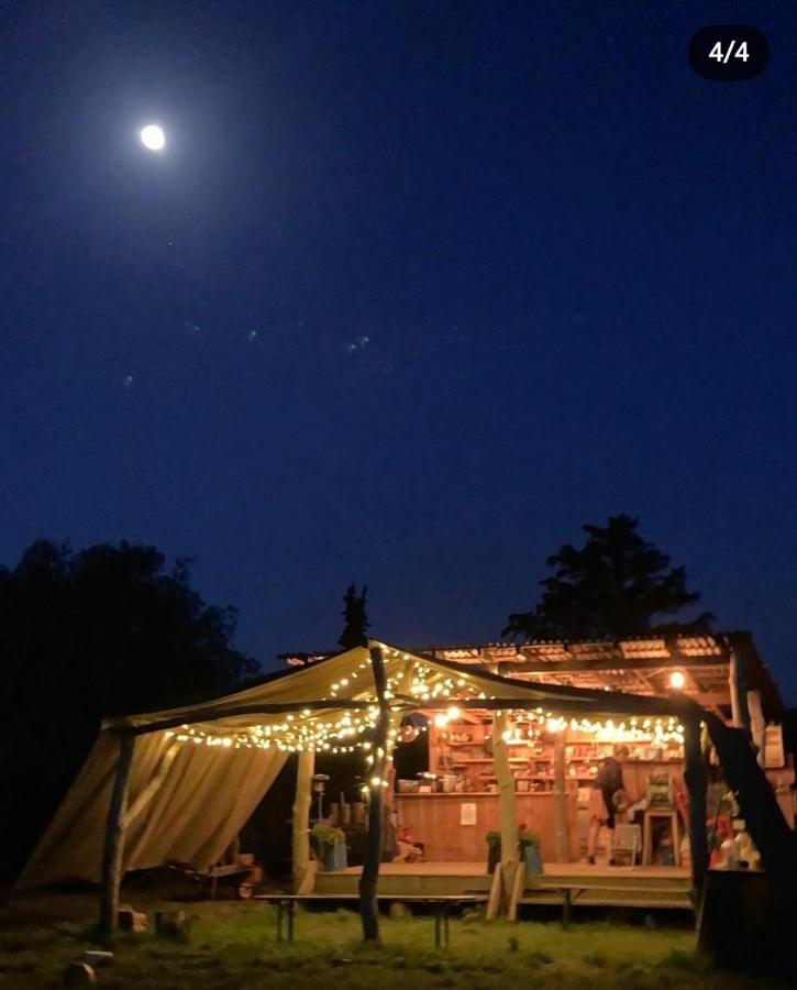 Cabin Westerlands Selham Bagian luar foto